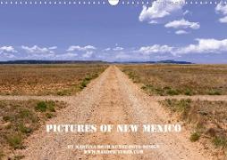 Pictures of New Mexico (Wandkalender 2021 DIN A3 quer)