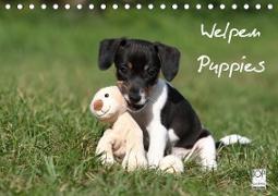 Welpen - Puppies (Tischkalender 2021 DIN A5 quer)