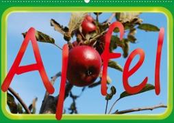 Apfel (Wandkalender 2021 DIN A2 quer)