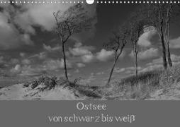 Ostsee - von schwarz bis weiß (Wandkalender 2021 DIN A3 quer)