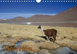 Bolivien (Wandkalender 2021 DIN A4 quer)
