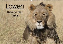Löwen - Könige der Tiere (Wandkalender 2021 DIN A2 quer)
