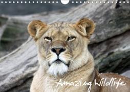 Amazing Wildlife (Wandkalender 2021 DIN A4 quer)