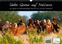 Unter Geiern auf Mallorca: Ein Projekt der Naturschutzstiftung Vida Silvestre Mediterránea (Wandkalender 2021 DIN A3 quer)