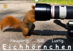 Eichhörnchen (Wandkalender 2021 DIN A3 quer)