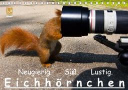 Eichhörnchen (Tischkalender 2021 DIN A5 quer)