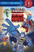 Super Friends: Flying High (DC Super Friends)