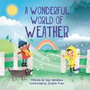 A Wonderful World of Weather