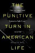 The Punitive Turn in American Life