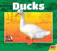 Ducks