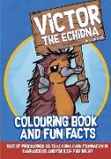 Victor The Echidna