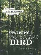 Stalking the Ghost Bird: The Elusive Ivory-Billed Woodpecker in Louisiana