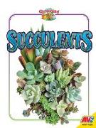 Succulents