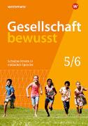 Gesellschaft bewusst 5/6. Schulbuchtexte in einfacher Sprache 5/6 mit CD-ROM. Niedersachsen