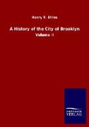 A History of the City of Brooklyn