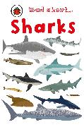 Mad About Sharks