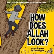 How Does Allah Look?