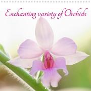 Enchanting variety of Orchids (Wall Calendar 2021 300 × 300 mm Square)