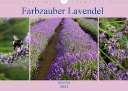 Farbzauber Lavendel (Wandkalender 2021 DIN A4 quer)