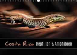 Costa Rica - Reptilien und Amphibien (Wandkalender 2021 DIN A3 quer)