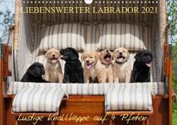 Liebenswerter Labrador 2021 (Wandkalender 2021 DIN A3 quer)