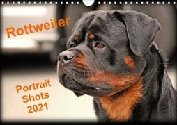 Rottweiler Portait Shots 2021 (Wall Calendar 2021 DIN A4 Landscape)