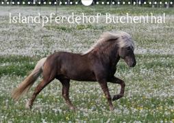 Islandpferdehof Buchenthal (Wandkalender 2021 DIN A4 quer)
