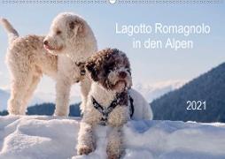 Lagotto Romagnolo in den Alpen 2021 (Wandkalender 2021 DIN A2 quer)