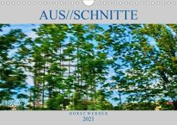 Aus//schnitte (Wandkalender 2021 DIN A4 quer)