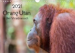 Orang Utan 2021 - Der Waldmensch (Wandkalender 2021 DIN A4 quer)