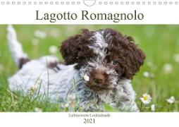 Lagotto Romagnolo - Liebenswerte Lockenhunde - 2021 (Wandkalender 2021 DIN A4 quer)