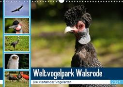 Weltvogelpark Walsrode - Die Vielfalt der Vogelarten (Wandkalender 2021 DIN A3 quer)