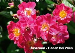 Baden bei Wien - Rosarium (Wandkalender 2021 DIN A3 quer)