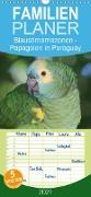 Blaustirnamazonen - Papageien in Paraguay - Familienplaner hoch (Wandkalender 2021 , 21 cm x 45 cm, hoch)