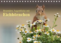 Besondere Augenblicke mit Eichhörnchen (Tischkalender 2021 DIN A5 quer)