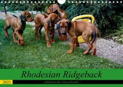 Rhodesian Ridgeback - afrikanische Löwenhunde (Wandkalender 2021 DIN A4 quer)