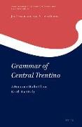 Grammar of Central Trentino: A Romance Dialect from North-East Italy