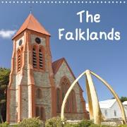 The Falklands (Wall Calendar 2021 300 × 300 mm Square)