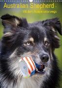 Australian Shepherd - Mit dem Aussie unterwegs (Wandkalender 2021 DIN A3 hoch)