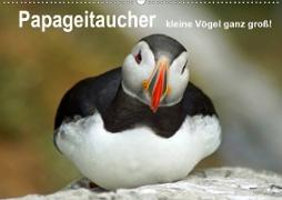 Papageitaucher - kleine Vögel ganz groß! (Wandkalender 2021 DIN A2 quer)