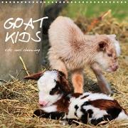 Goat kids, cute and charming (Wall Calendar 2021 300 × 300 mm Square)