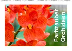 Farbzauber Orchideen (Wandkalender 2021 DIN A2 quer)