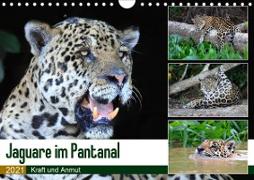 Jaguare im Pantanal (Wandkalender 2021 DIN A4 quer)
