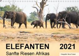 Elefanten - Sanfte Riesen Afrikas (Wandkalender 2021 DIN A4 quer)