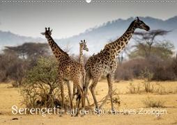Serengeti - auf den Spuren eines Zoologen (Wandkalender 2021 DIN A2 quer)