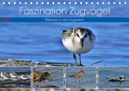 Faszination Zugvögel - Rekorde in der Vogelwelt (Tischkalender 2021 DIN A5 quer)