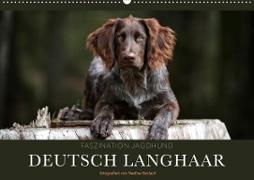 Faszination Jagdhund - Deutsch Langhaar (Wandkalender 2021 DIN A2 quer)