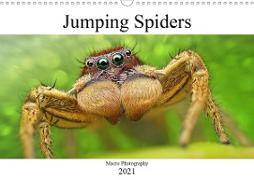 Jumping Spiders (Wall Calendar 2021 DIN A3 Landscape)