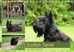 Scottish Terrier - Charmantes Rauhbein (Tischkalender 2021 DIN A5 quer)