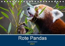 Rote Pandas - geschickte Kletterer (Tischkalender 2021 DIN A5 quer)